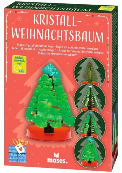 Mit ganz wenigen Utensilien lässt sich ein hübsches Weihnachtsbäumchen züchten