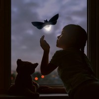 Solar Glühwürmchen - Nachtlicht für's Fenster