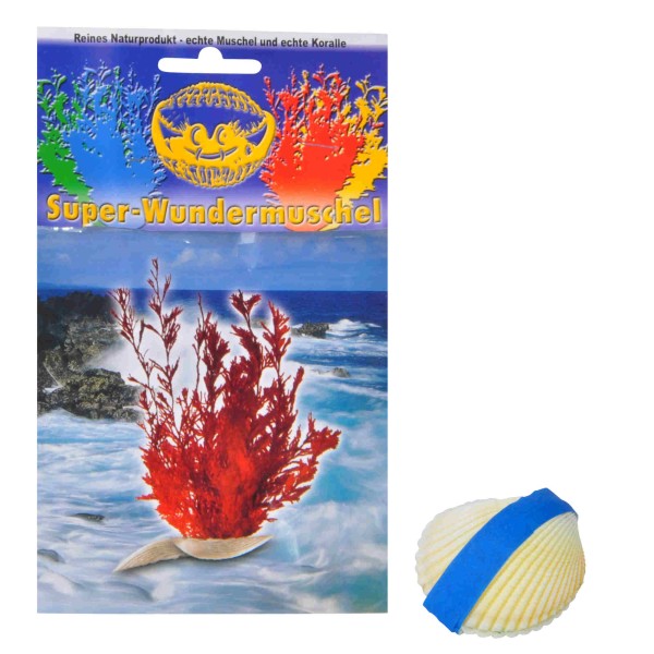 Die Wundermuschel: Retro-Spielzeug aus Herzmuschel und Koralle