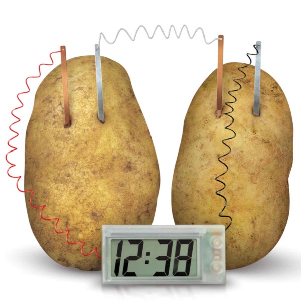 MINT-Bausatz Galvanisches Element: Kartoffeluhr 