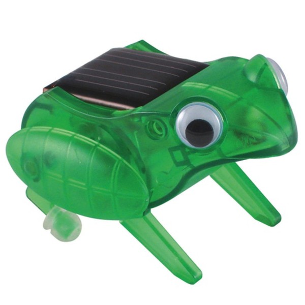 Frosch mit Solarzelle - wissenschaftliches Spielzeug