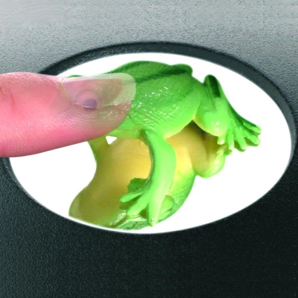 3D Mirascope mit Frosch