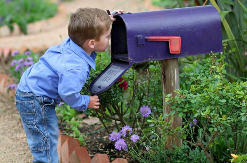 Hier klicken - Newsletteranmeldung