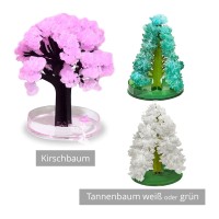 Kirschbaum Weihnachtsbaum selber machen mit Anzuchtset