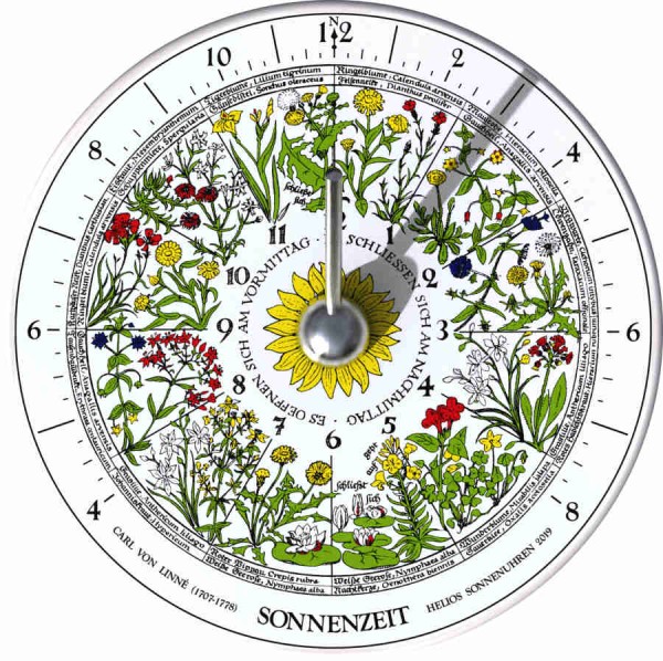 Hora Floris - Sonnenuhr und Blumenuhr in Einem nach Carl von Linné
