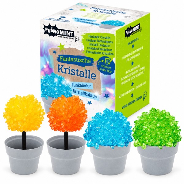 PhänoMINT - Fantastische Kristalle -Kristallblumen selbst züchten - 4 Farben - ab 8 Jahren