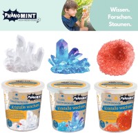 PhänoMINT Kristalle züchten und wachsen lassen - 3 Farben